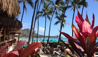 All INCLUSIVE HAWAII VACATION PACKAGES To WAIKIKI BEACH - Oahu, Maui ...
